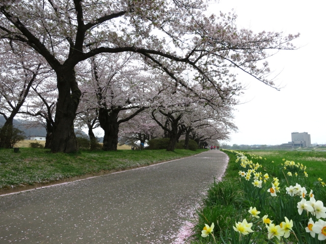 岩手県の心理カウンセリングを探す